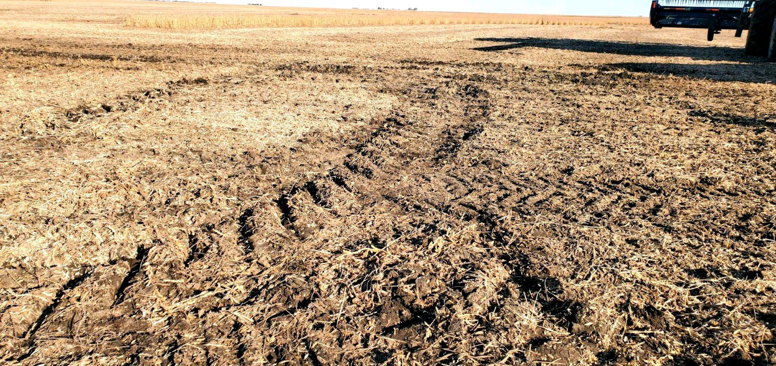 Field ruts